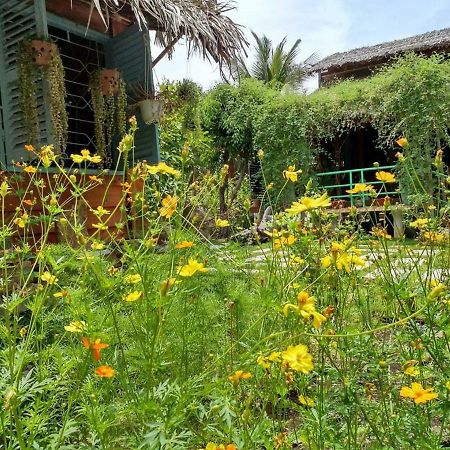 Bach Cuc Homestay Лонгхай Экстерьер фото