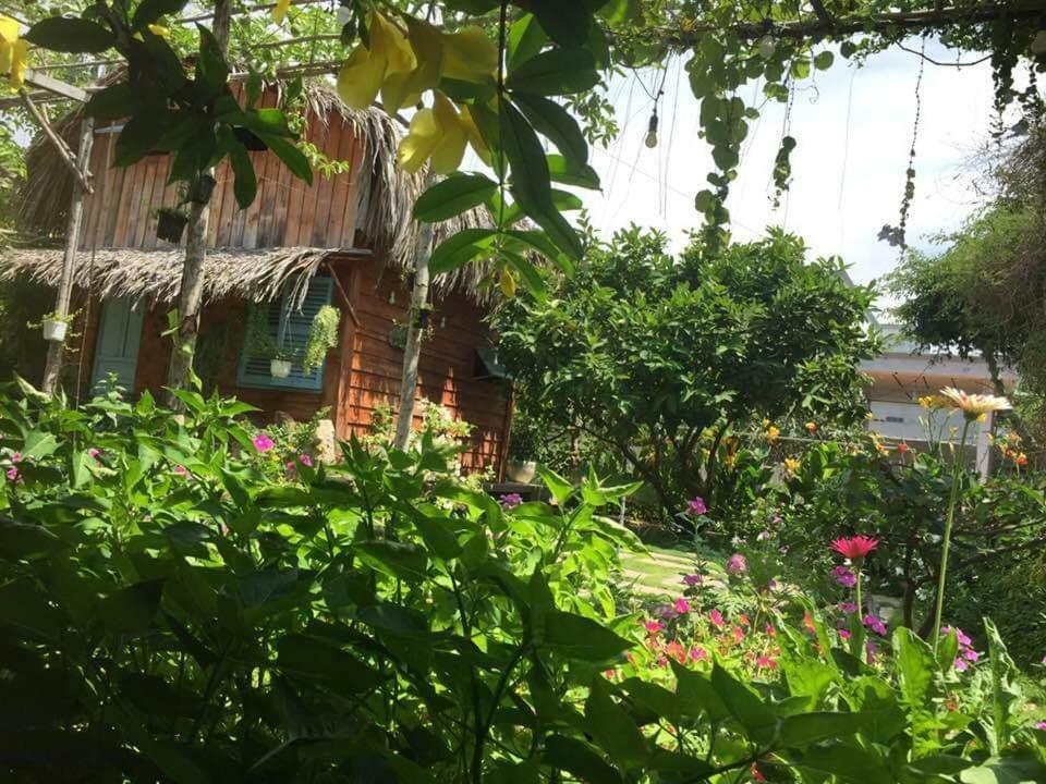 Bach Cuc Homestay Лонгхай Экстерьер фото