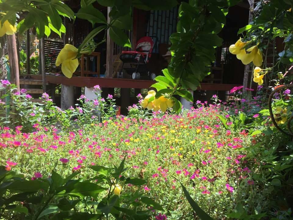 Bach Cuc Homestay Лонгхай Экстерьер фото